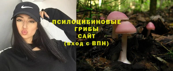молекула духа Карталы