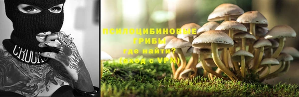 молекула духа Карталы