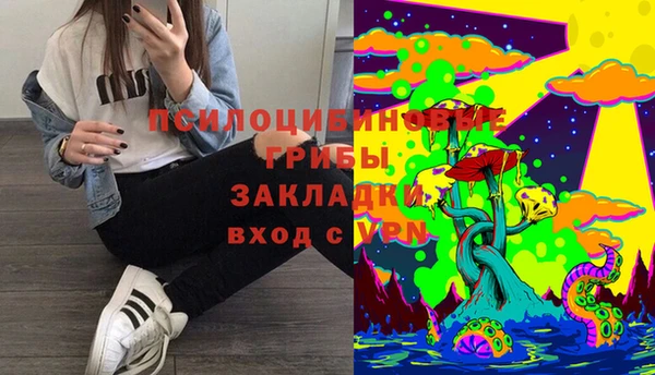 молекула духа Карталы