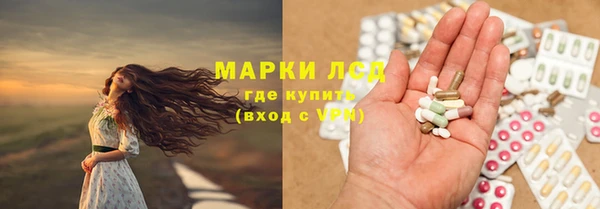 PSILOCYBIN Карпинск