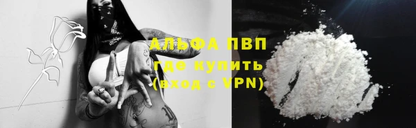 PSILOCYBIN Карпинск