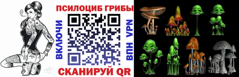 Галлюциногенные грибы MAGIC MUSHROOMS  Купить  Десногорск 